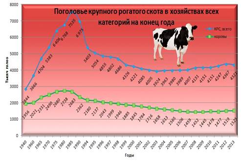 График поголовья крупного рогатого скота. Численность крупного рогатого скота в мире. Структура поголовья крс. Поголовье крупного рогатого скота в мире в 2020 году. Динамика поголовья крс в россии.