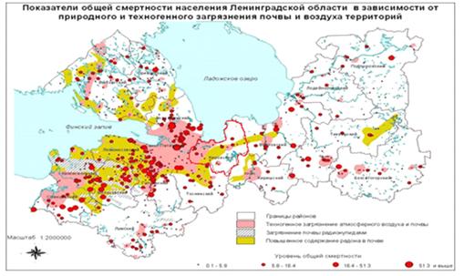 Курсовая работа: Почвы Гатчинского района Ленинградской области