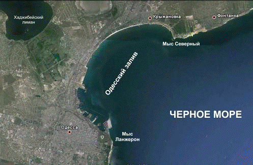 Курсовая работа по теме Характеристика бичка-кругляка в акваторії Одеської затоки