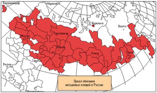 Где водятся энцефалитные клещи. Карта распространения иксодовых клещей в России. Ареал распространения энцефалитного клеща. Ареал распространения клещевого энцефалита в мире. Ареал обитания энцефалитного клеща в России.