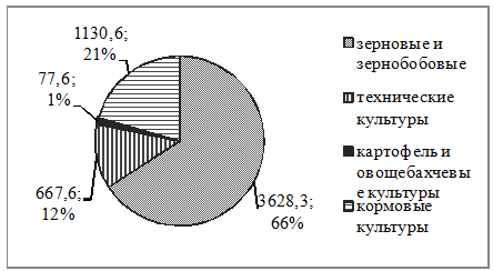 Курсовая работа: Анализ исполнения краевого бюджета на примере Алтайского края