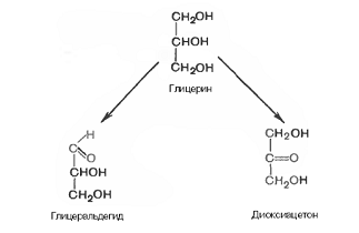 Курсовая работа по теме Структура, физические и химические свойства моносахаридов (на примере глюкозы и фруктозы)