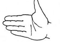 Тест руки Вагнера1