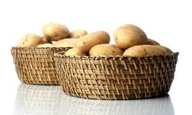 Курсовая работа по теме Технология приготовления блюд 'Котлеты картофельные', 'Кулебяка с капустным фаршем'