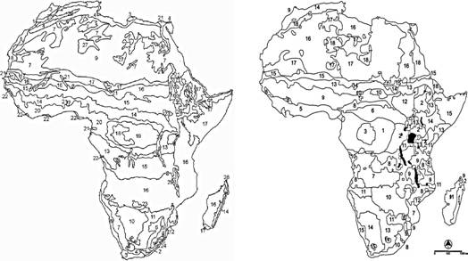 Курсовая работа: Климатические особенности различных регионов Африканского континента