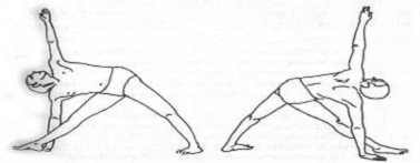 Реферат: Йога как одна из древнейших систем оздоровления духа и тела