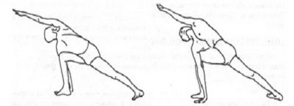 Реферат: Йога как одна из древнейших систем оздоровления духа и тела