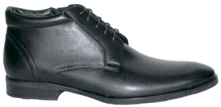 Реферат: Экспертиза качества кожаной обуви