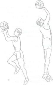 Дипломная работа: Соревновательная подготовка баскетболистов разной квалификации в дистанционных бросках по кольцу