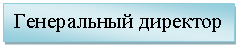 Подпись: Генеральный директор