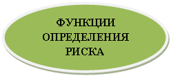 Овал: ФУНКЦИИ ОПРЕДЕЛЕНИЯ                  РИСКА