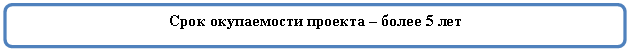 Скругленный прямоугольник: Срок окупаемости проекта – более 5 лет