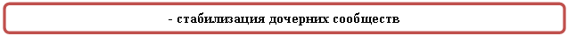 Скругленный прямоугольник: - стабилизация дочерних сообществ