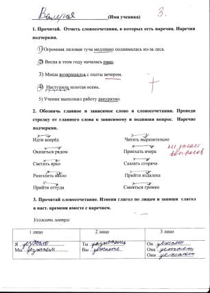 Реферат: Русский язык и основные наречия