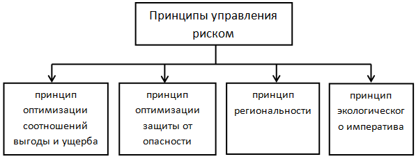 Курсовая работа по теме Управление рисками для разработки и принятии управленческих решений