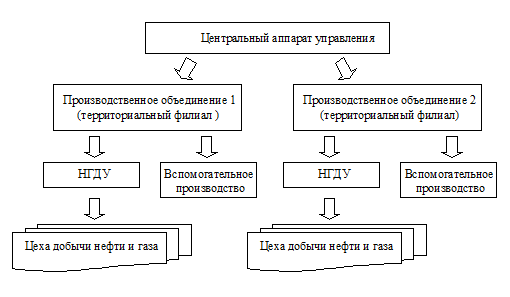 Курсовая работа: Повышение эффективности производства на компании ТНК путем ввода новых скважин