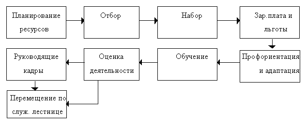 Дипломная работа: Совершенствование управления персоналом организации