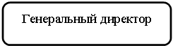 Скругленный прямоугольник: Генеральный директор