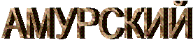 АМУРСКИЙ