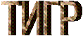 ТИГР