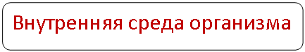 Скругленный прямоугольник: Внутренняя среда организма