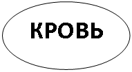 Овал: КРОВЬ