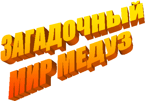 ЗАГАДОЧНЫЙ
МИР МЕДУЗ