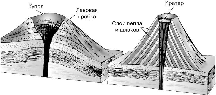 ОСНОВНЫЕ ТИПЫ ВУЛКАНОВЭкструзивный (лавовый) купол (слева) имеет округлую в плане форму и крутые склоны, прорезанные глубокими бороздами. В жерле вулкана может образоваться пробка застывшей лавы, которая препятствует выделению газов, что впоследствии приводит к взрыву и разрушению купола. Крутосклонный пирокластический конус (справа) сложен чередующимися прослоями пепла и шлаков.