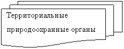 Блок-схема: несколько документов: Территориальные природоохранные органы