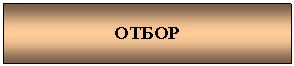 Подпись: ОТБОР
