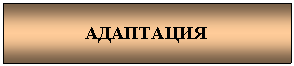 Подпись: АДАПТАЦИЯ
