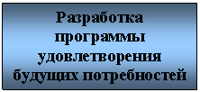 Подпись: Разработка программы удовлетворения будущих потребностей