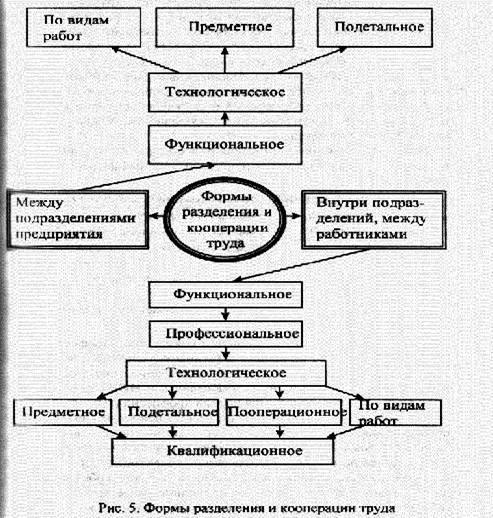 Контрольная работа: Разделение и кооперация труда