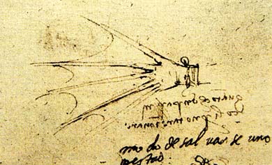 Плавательные перепончатые перчатки