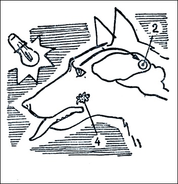 Собака Павлова. Рефлекса нет.