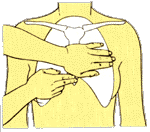 Правильное положение для рук 