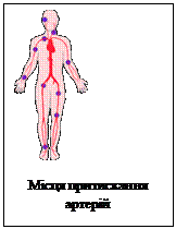 Подпись:  

Місця притискання артерій

