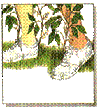 отравление через кожный покров