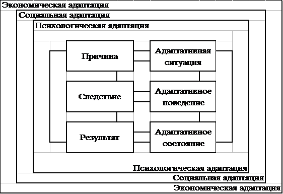 Реферат: Программа социальной адаптации молодой семьи