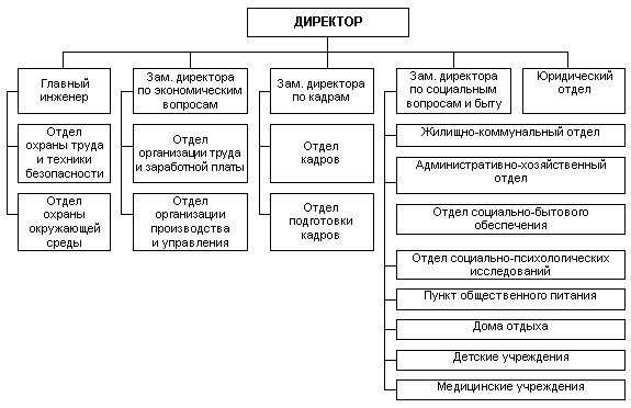 Сложившаяся организационная структура системы управления персоналом в организации