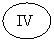 Овал: IV