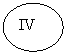 Овал: IV