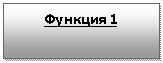 Подпись: Функция 1