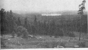 mhtml:file://C:\D&S\Таня\Рабочий%20стол\Бисероплетение\зубак\зубак\ОСНОВНЫЕ%20ДИДАКТИЧЕСКИЕ%20ПОЛОЖЕНИЯ%20МЕТОДИКИ.mht!#