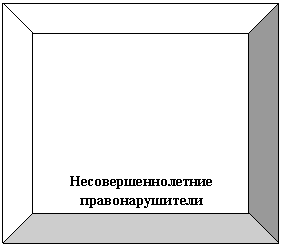 Багетная рамка: Несовершеннолетние правонарушители
