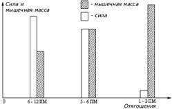 Влияние используемых отягощений на увеличение силы и мышечной массы