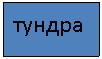 Подпись: тундра