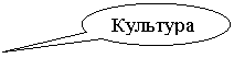 Овальная выноска: Культура
