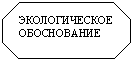 Восьмиугольник: ЭКОЛОГИЧЕСКОЕ
ОБОСНОВАНИЕ