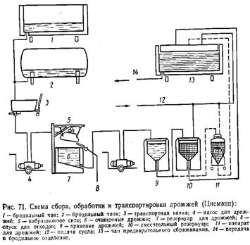 пиво картинка